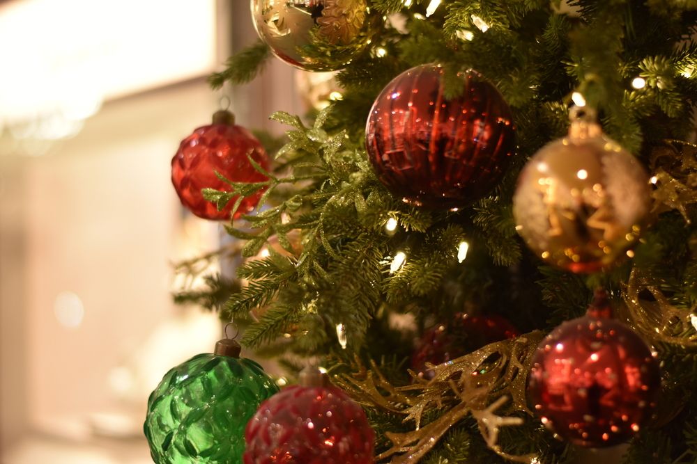 Photograph by Elvira