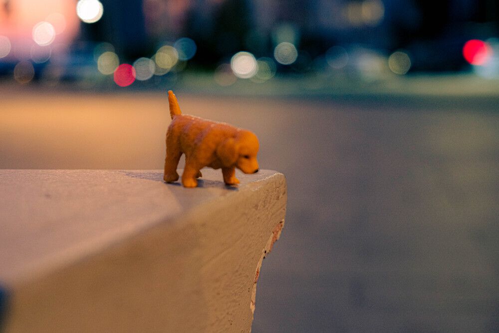 Photograph by Альберт Габбасов