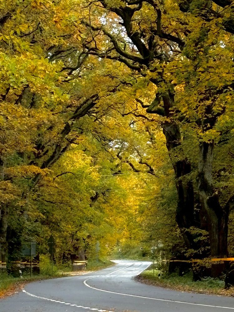 Фотография автора Ашхеник Азарян