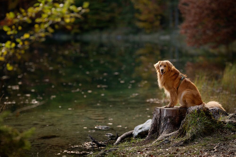 Photograph by Maja Esch