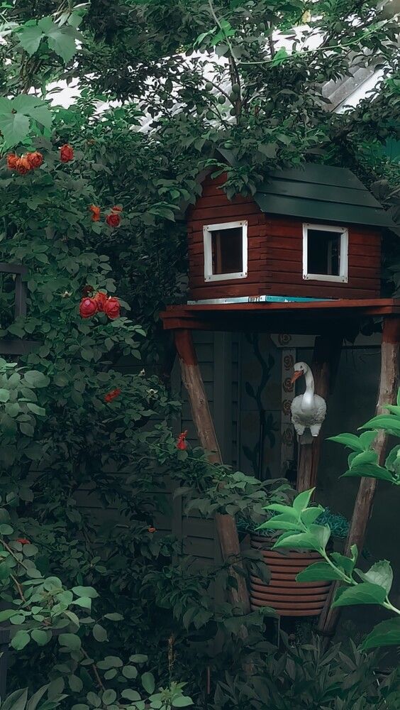 Photograph by Людмила Горячева