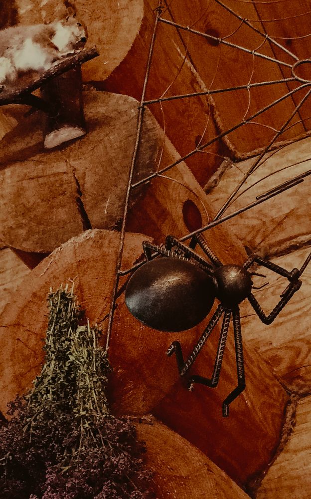 Photograph by Людмила Горячева