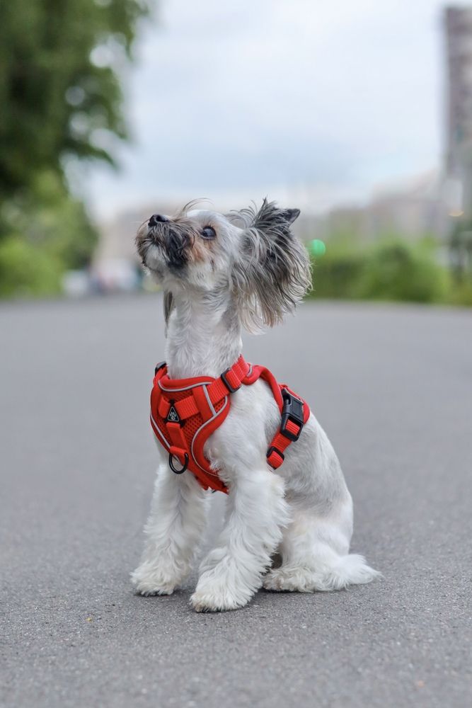 Photograph by Анастасия Ануфриева