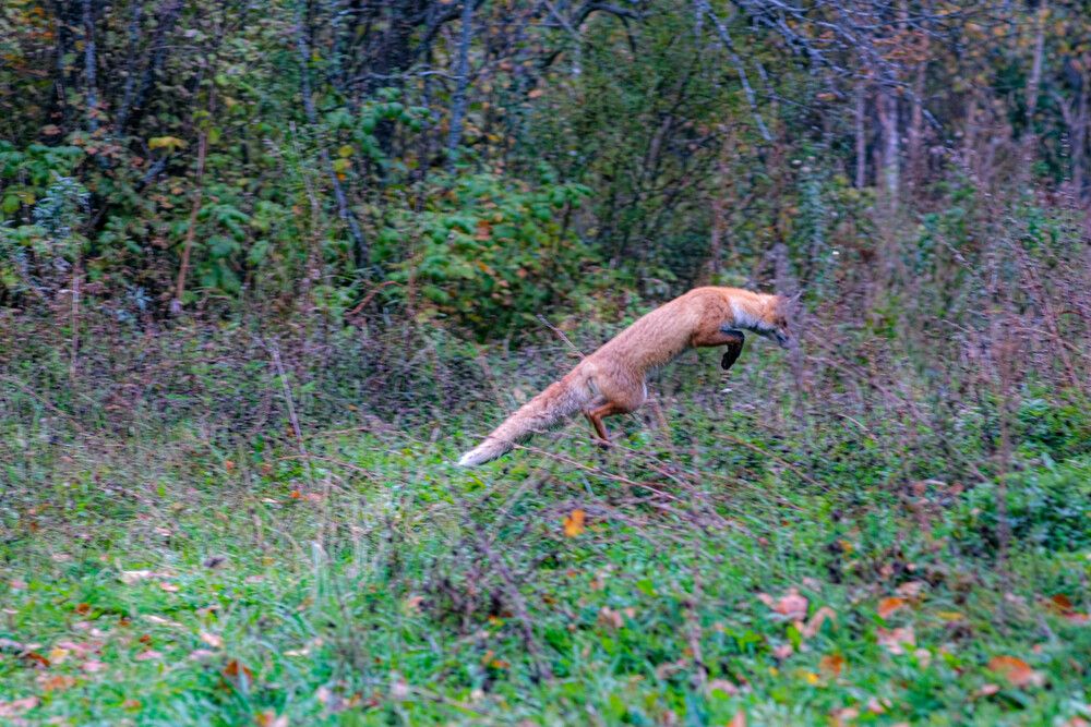 Photograph by Альберт Габбасов