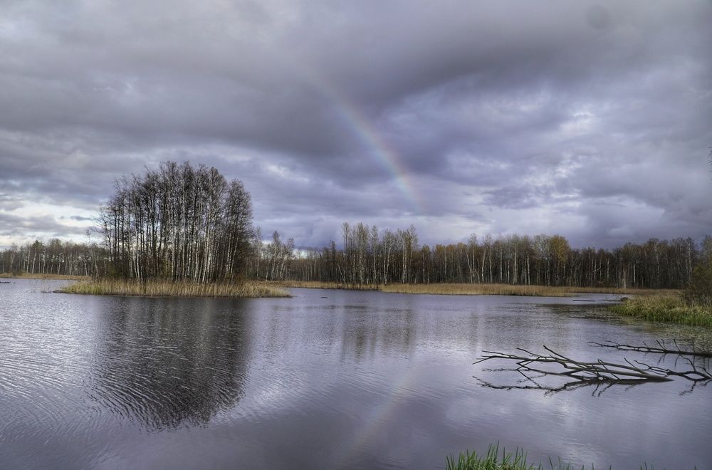 Photograph by Марина Безенкина