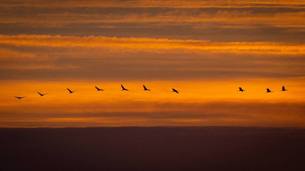 Фотография автора Krisztián Csalami