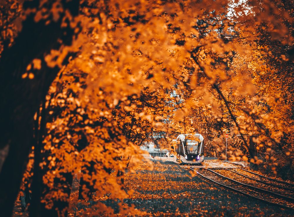 Photograph by Трепольский Дмитрий