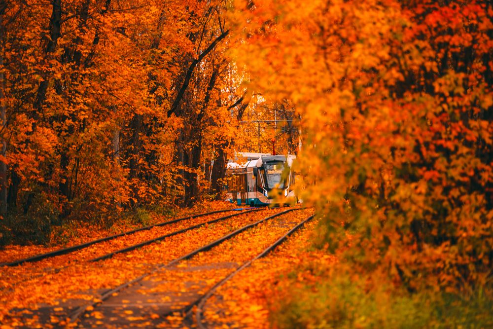 Photograph by Трепольский Дмитрий