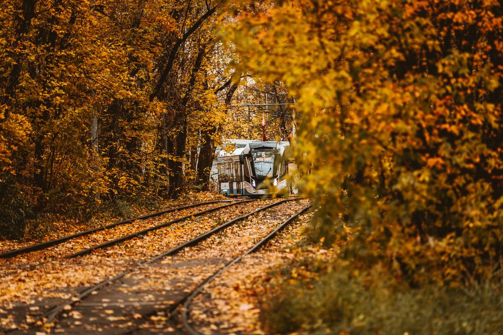 Photograph by Трепольский Дмитрий