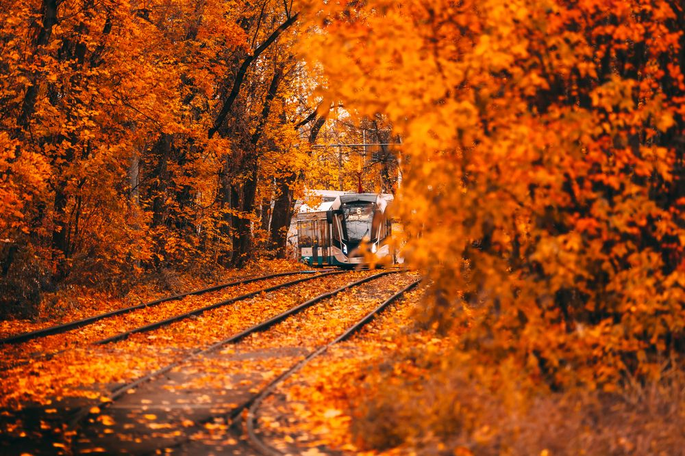 Photograph by Трепольский Дмитрий