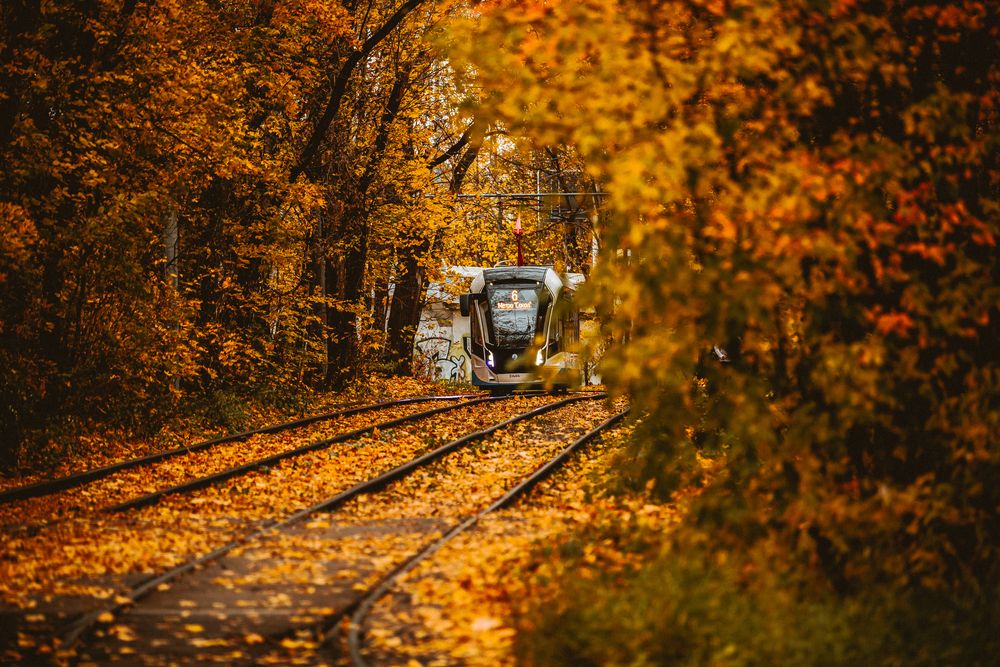 Photograph by Трепольский Дмитрий