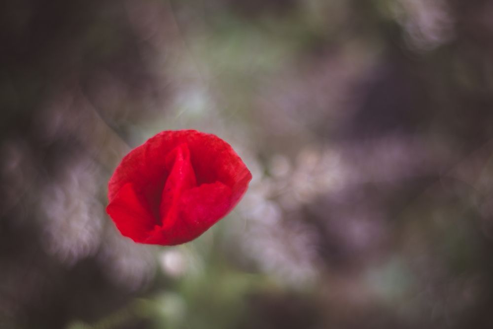 Photograph by Evgeniya Biriukova