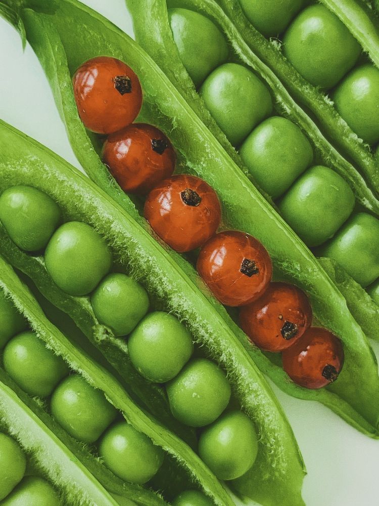 Фотография автора Евгения Никишина