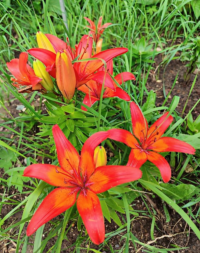 Photograph by Юлия Холомцева