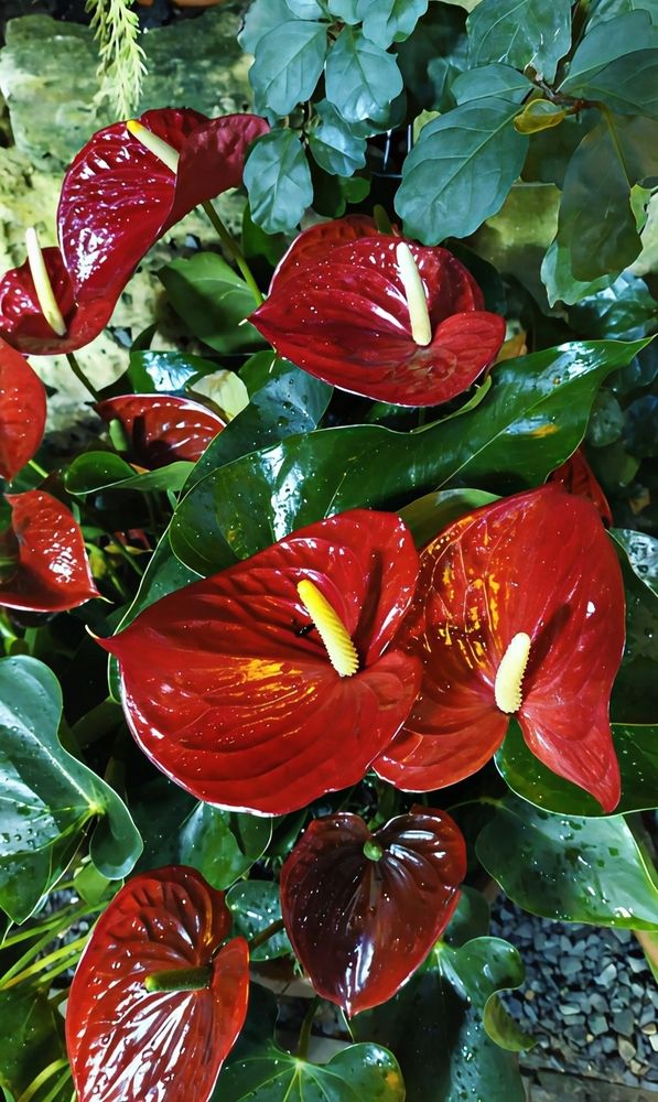 Photograph by Юлия Холомцева