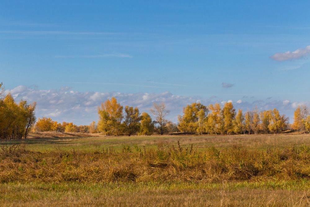 Photograph by Олег Дорошенко