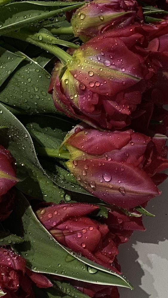 Photograph by Анна Кулакова