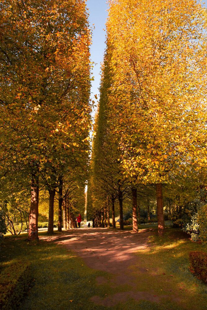 Ореховна