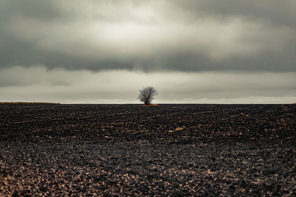Фотография автора Елена Чиликина