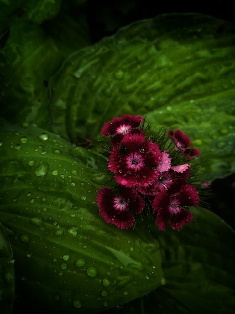 Photograph by Alexander Svetlov