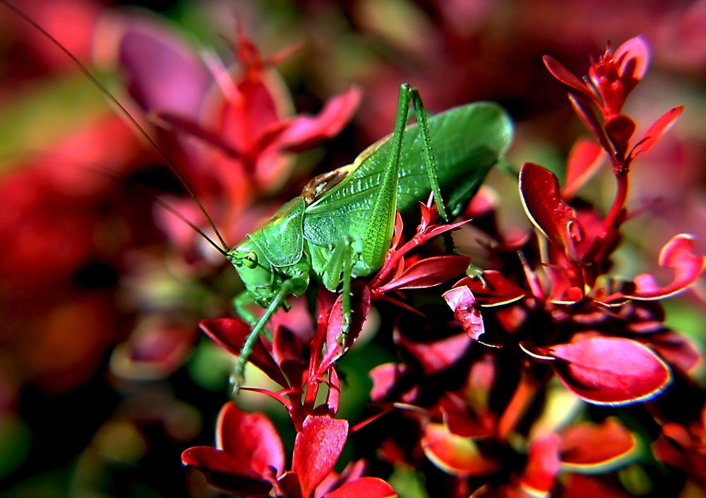 Photograph by Александр Лазебник