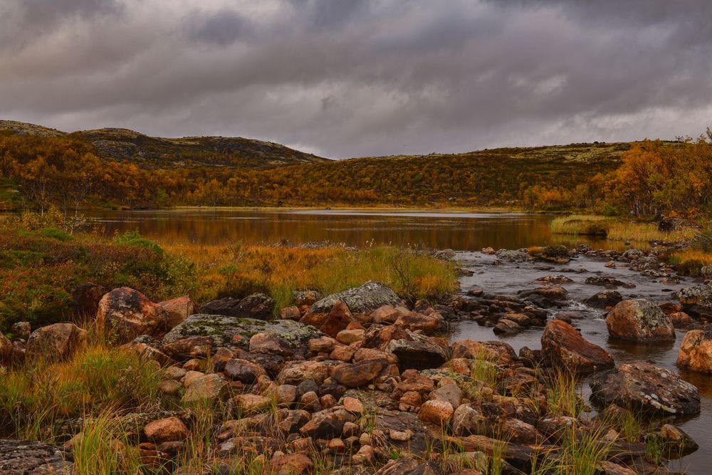 Photograph by Олег Корешонков