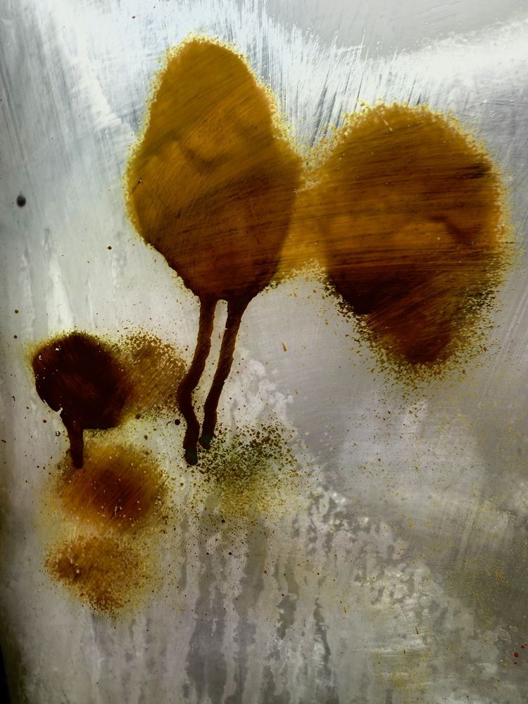 Photograph by Вера Сдвижкова