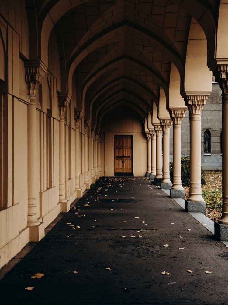 Photograph by Алиса Нежинская