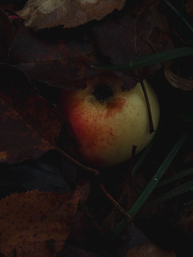 Photograph by Елена Михалева