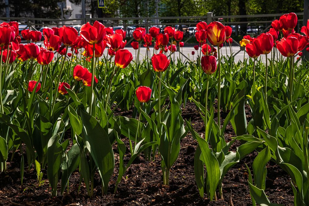 Photograph by Юрий Платухин