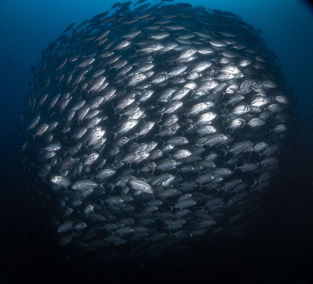 Photograph by Magali Márquez