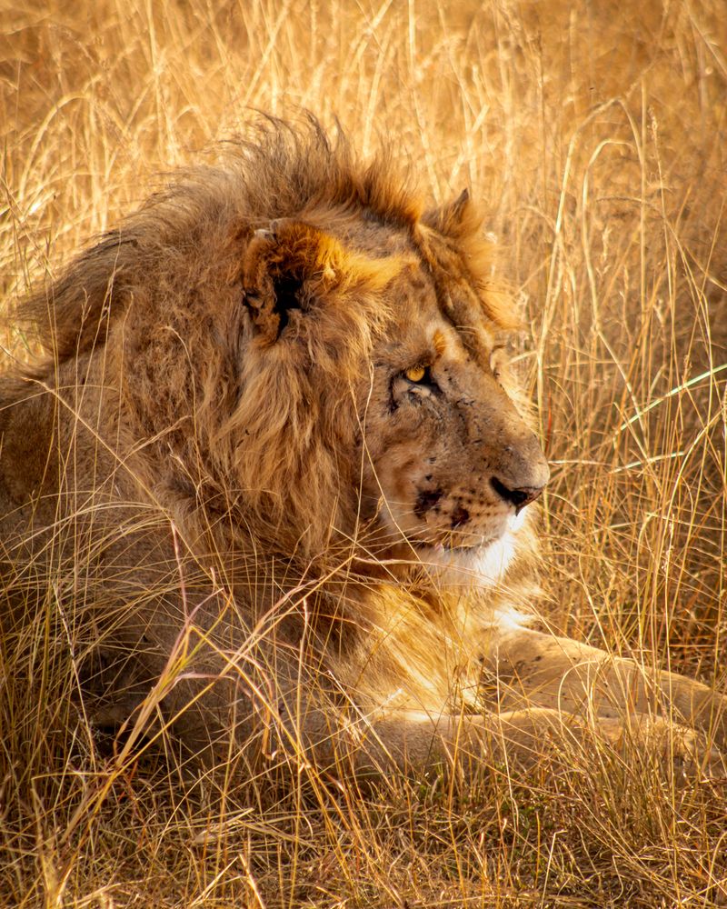 Photograph by Kamil Salameh