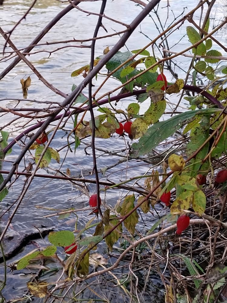 Photograph by Юлия Фирман