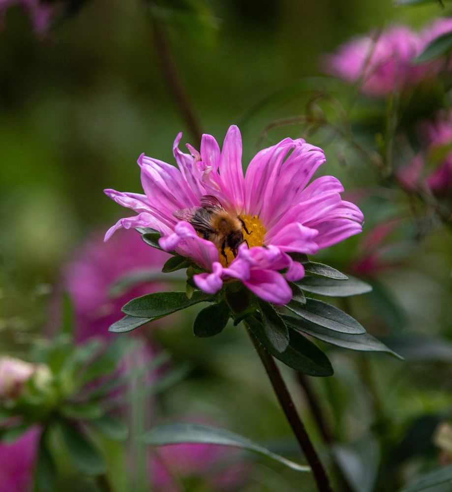 Photograph by Андрей Калинин