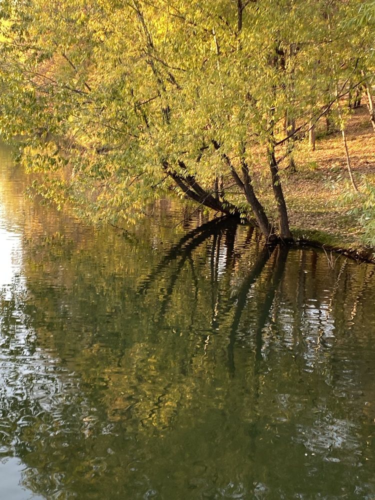 Photograph by Вера Артеменко