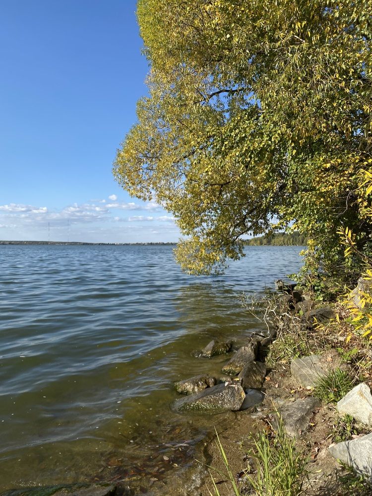 Photograph by Вера Артеменко