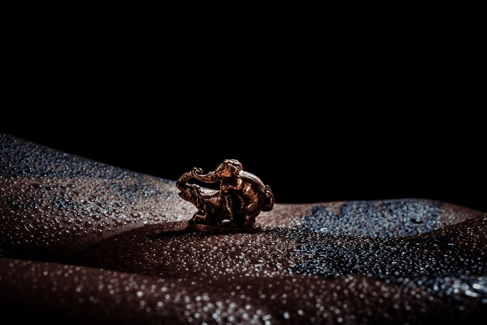 Photograph by Кудряшов Алексей