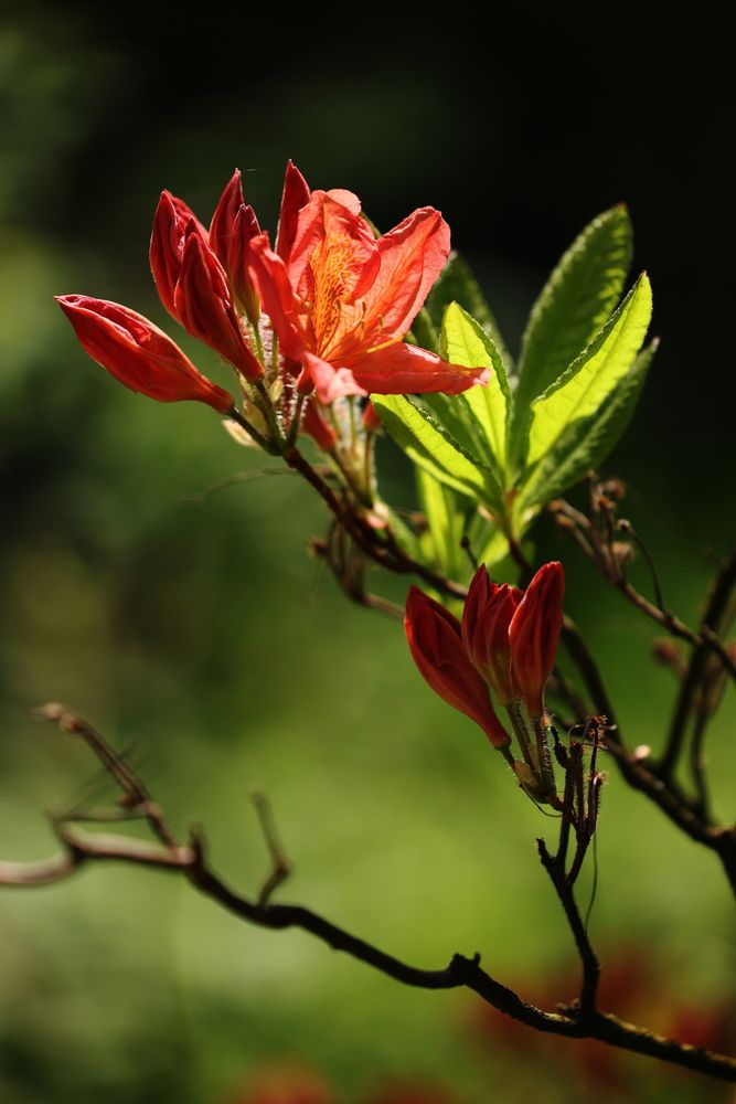 Фотография автора Natalia Kuzmina