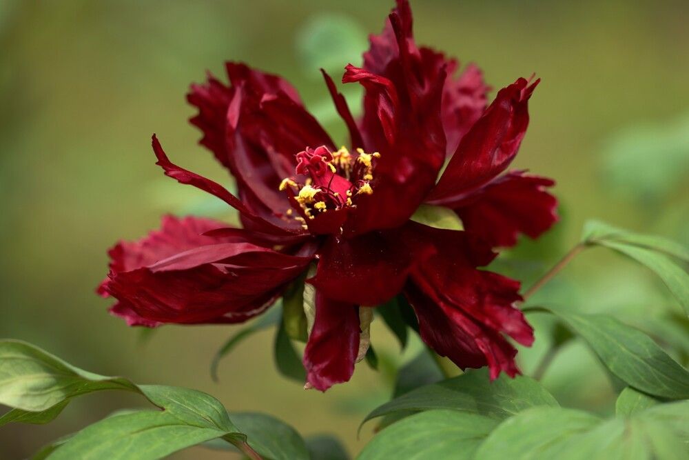 Фотография автора Natalia Kuzmina