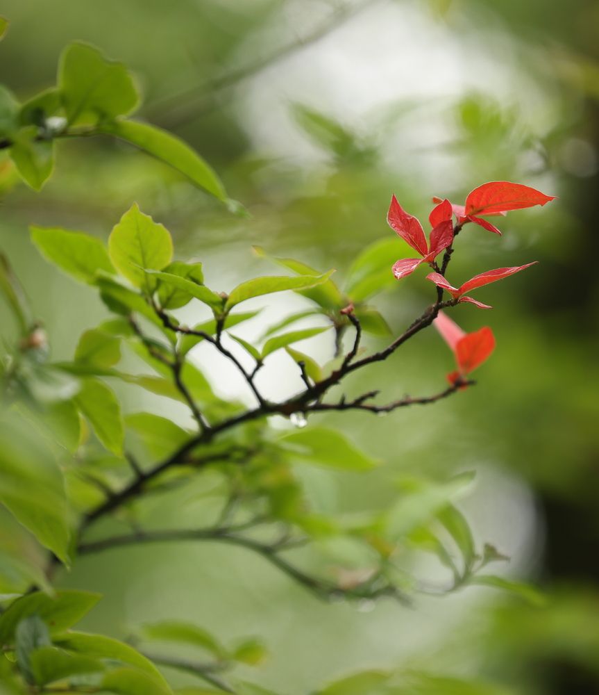 Фотография автора Natalia Kuzmina