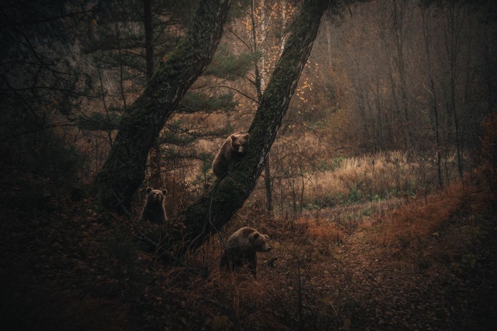 Photograph by Steve Shelby