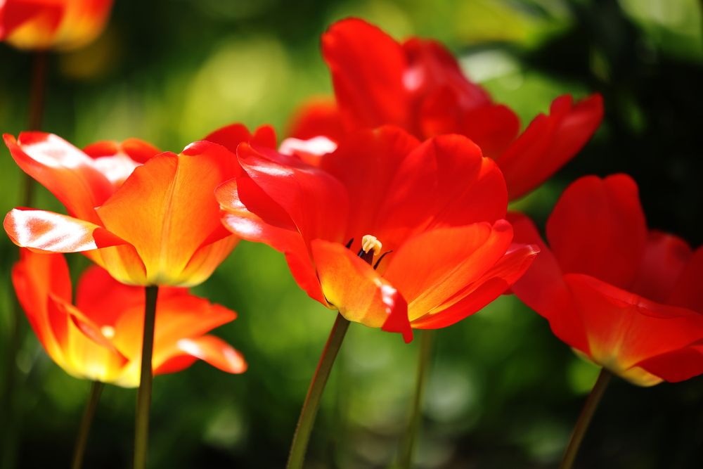 Фотография автора Natalia Kuzmina