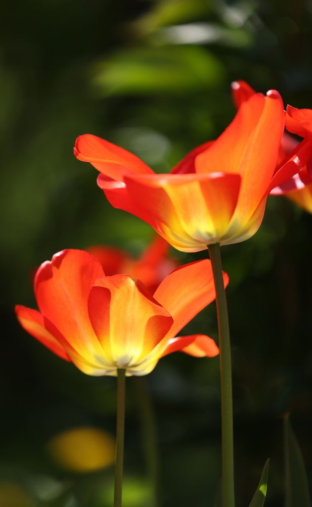 Фотография автора Natalia Kuzmina