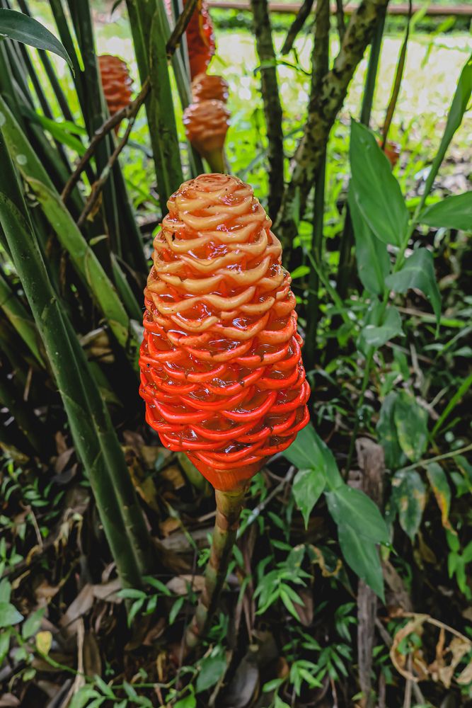 Photograph by Yannah Tekwie