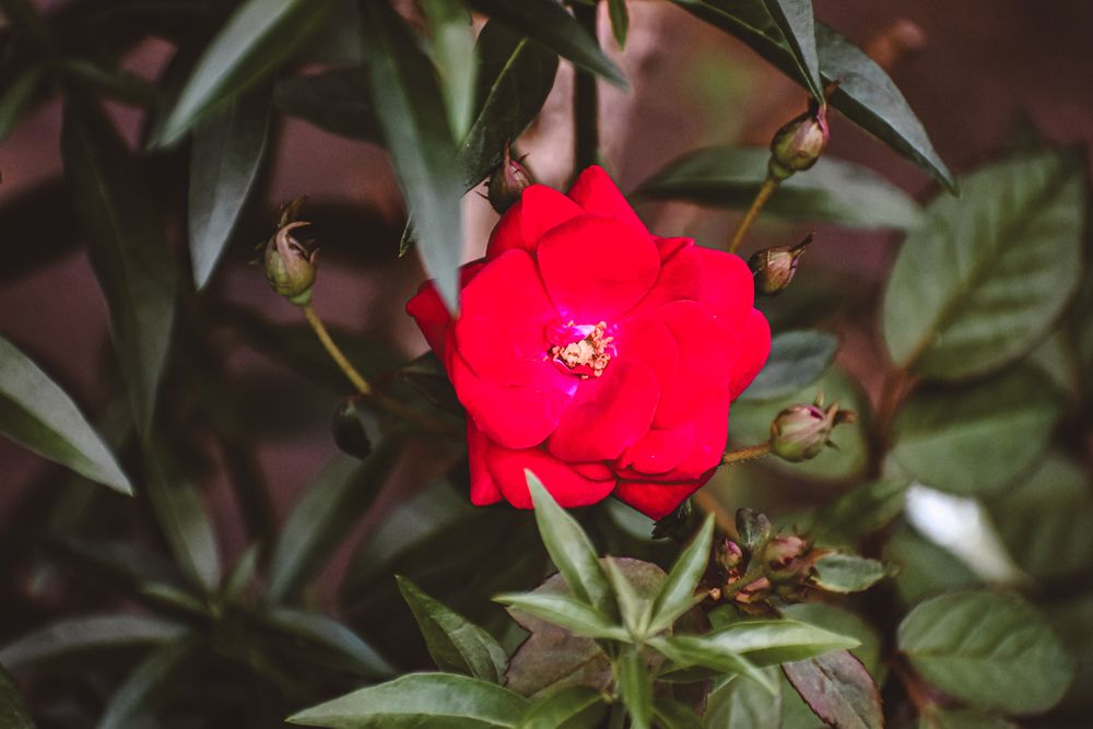 Photograph by Yannah Tekwie