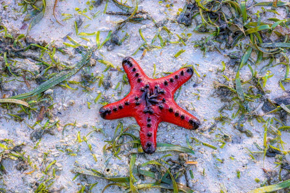 Photograph by Yannah Tekwie