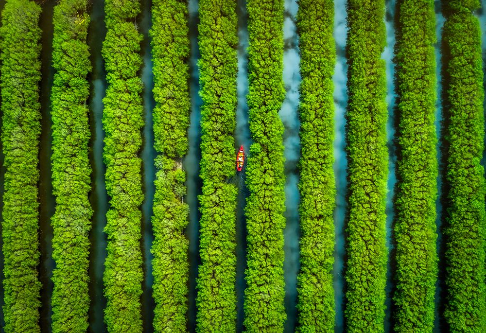 Photograph by Cao Alex