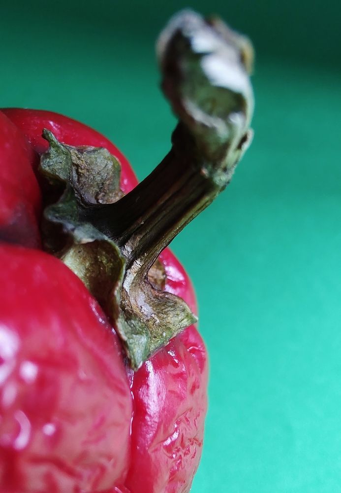 Photograph by Оксана Сабылина