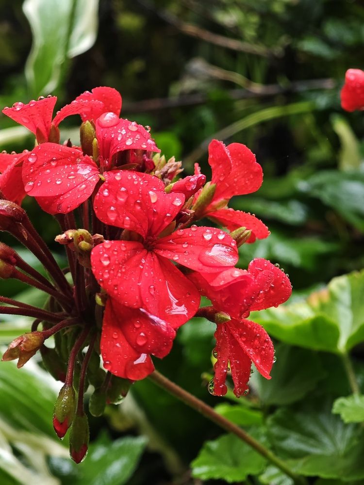 Photograph by Валерий Гудков