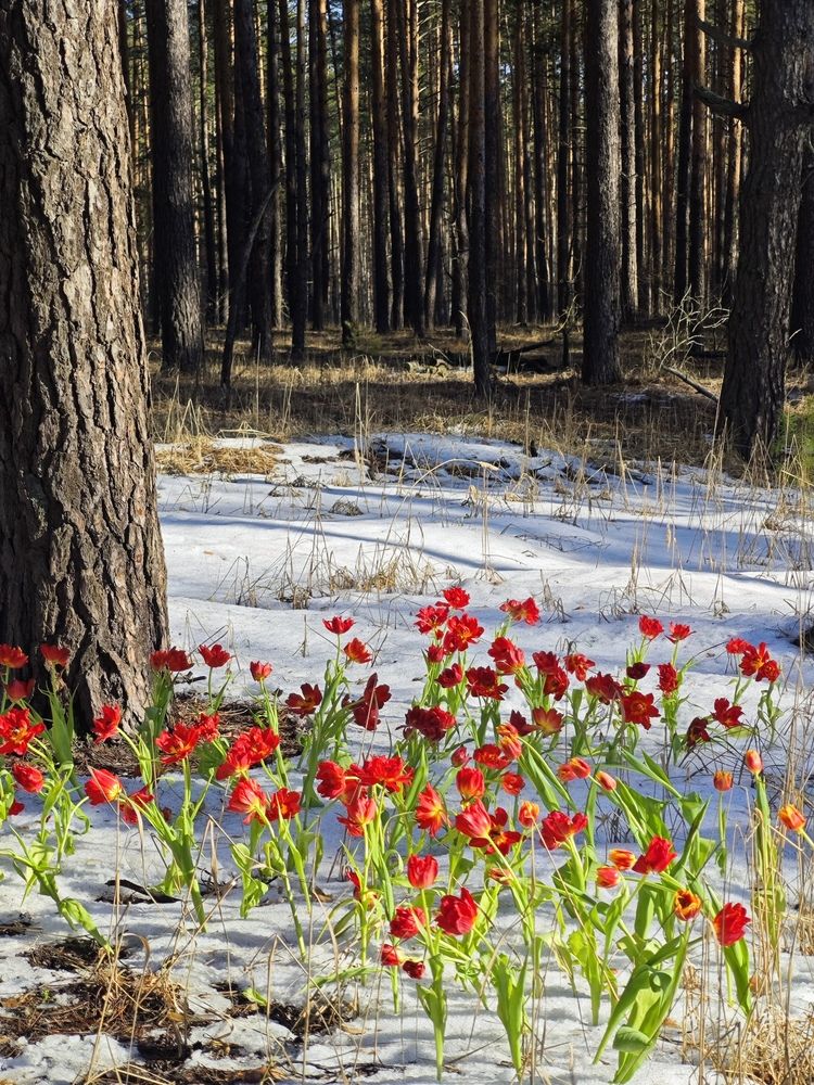 Photograph by Валерий Гудков